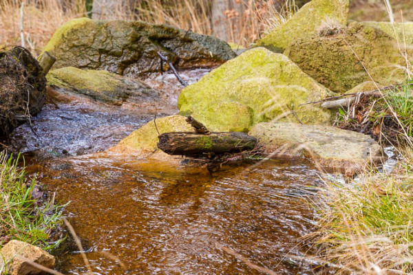 Nationalpark Harz Ilsetal