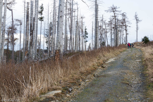 Nationalpark Harz Ilsetal