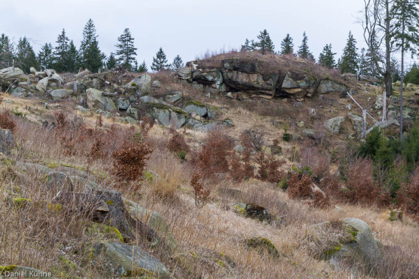 Nationalpark Harz Ilsetal