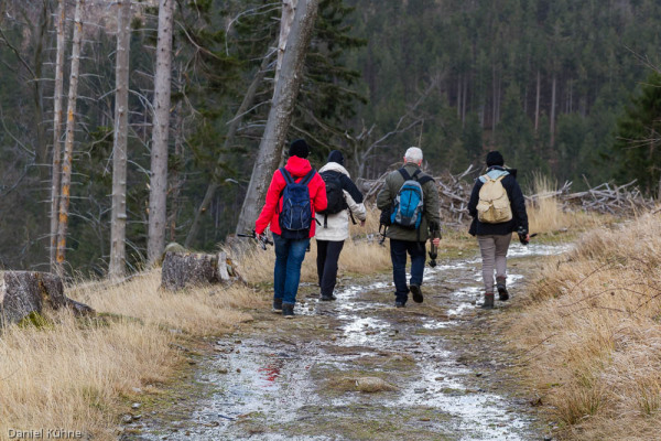 Nationalpark Harz Ilsetal