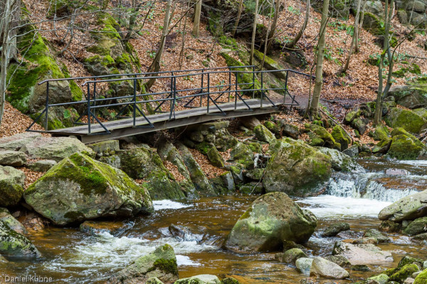 Nationalpark Harz Ilsetal