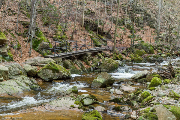 Nationalpark Harz Ilsetal