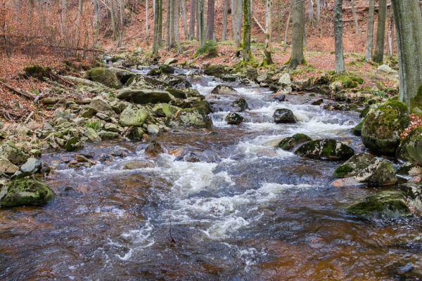 Nationalpark Harz Ilsetal