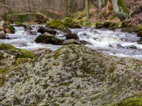 Nationalpark Harz Ilsetal