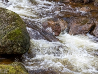 Nationalpark Harz Ilsetal