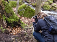 Nationalpark Harz Ilsetal