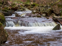 Nationalpark Harz Ilsetal