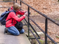 Nationalpark Harz Ilsetal