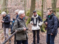 Nationalpark Harz Ilsetal