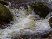 Nationalpark Harz Ilsetal