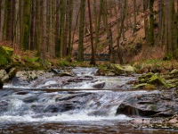 Nationalpark Harz Ilsetal