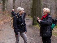 Nationalpark Harz Ilsetal