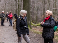 Nationalpark Harz Ilsetal