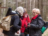 Nationalpark Harz Ilsetal