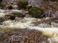 Nationalpark Harz Ilsetal