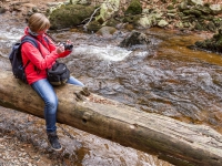 Nationalpark Harz Ilsetal