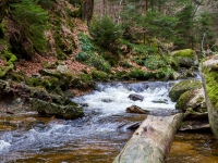 Nationalpark Harz Ilsetal