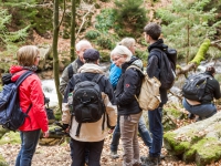 Nationalpark Harz Ilsetal