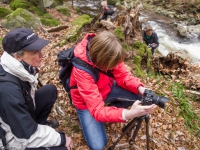 Nationalpark Harz Ilsetal