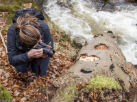 Nationalpark Harz Ilsetal