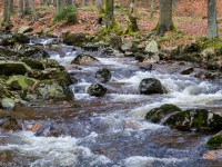 Nationalpark Harz Ilsetal