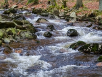 Nationalpark Harz Ilsetal