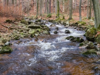 Nationalpark Harz Ilsetal