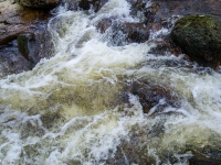 Nationalpark Harz Ilsetal