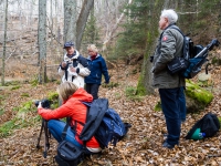 Nationalpark Harz Ilsetal