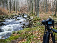 Nationalpark Harz Ilsetal