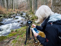 Nationalpark Harz Ilsetal