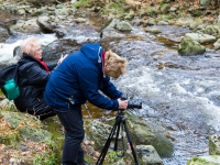 Nationalpark Harz Ilsetal