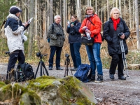 Nationalpark Harz Ilsetal