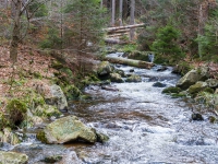 Nationalpark Harz Ilsetal