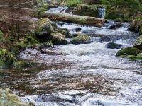 Nationalpark Harz Ilsetal