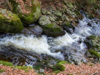 Nationalpark Harz Ilsetal