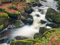 Nationalpark Harz Ilsetal