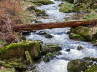 Nationalpark Harz Ilsetal