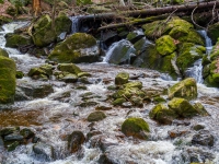 Nationalpark Harz Ilsetal