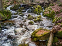 Nationalpark Harz Ilsetal