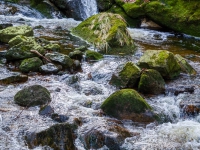 Nationalpark Harz Ilsetal