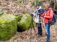 Nationalpark Harz Ilsetal