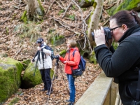 Nationalpark Harz Ilsetal