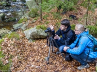 Nationalpark Harz Ilsetal