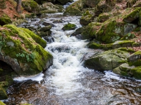 Nationalpark Harz Ilsetal Ilsefall