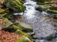 Nationalpark Harz Ilsetal Ilsefall