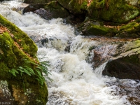 Nationalpark Harz Ilsetal Ilsefall