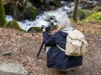 Nationalpark Harz Ilsetal