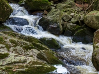 Nationalpark Harz Ilsetal Ilsefall