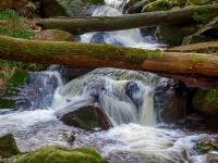 Nationalpark Harz Ilsetal Ilsefall